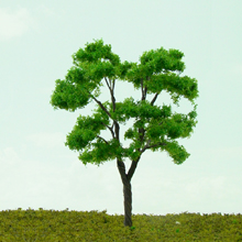 model trees